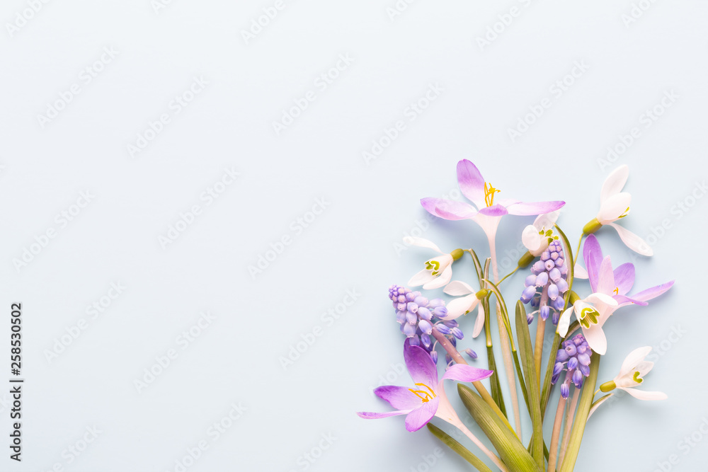 Fresh snowdrops on pink background with place for text. Spring greeting card.