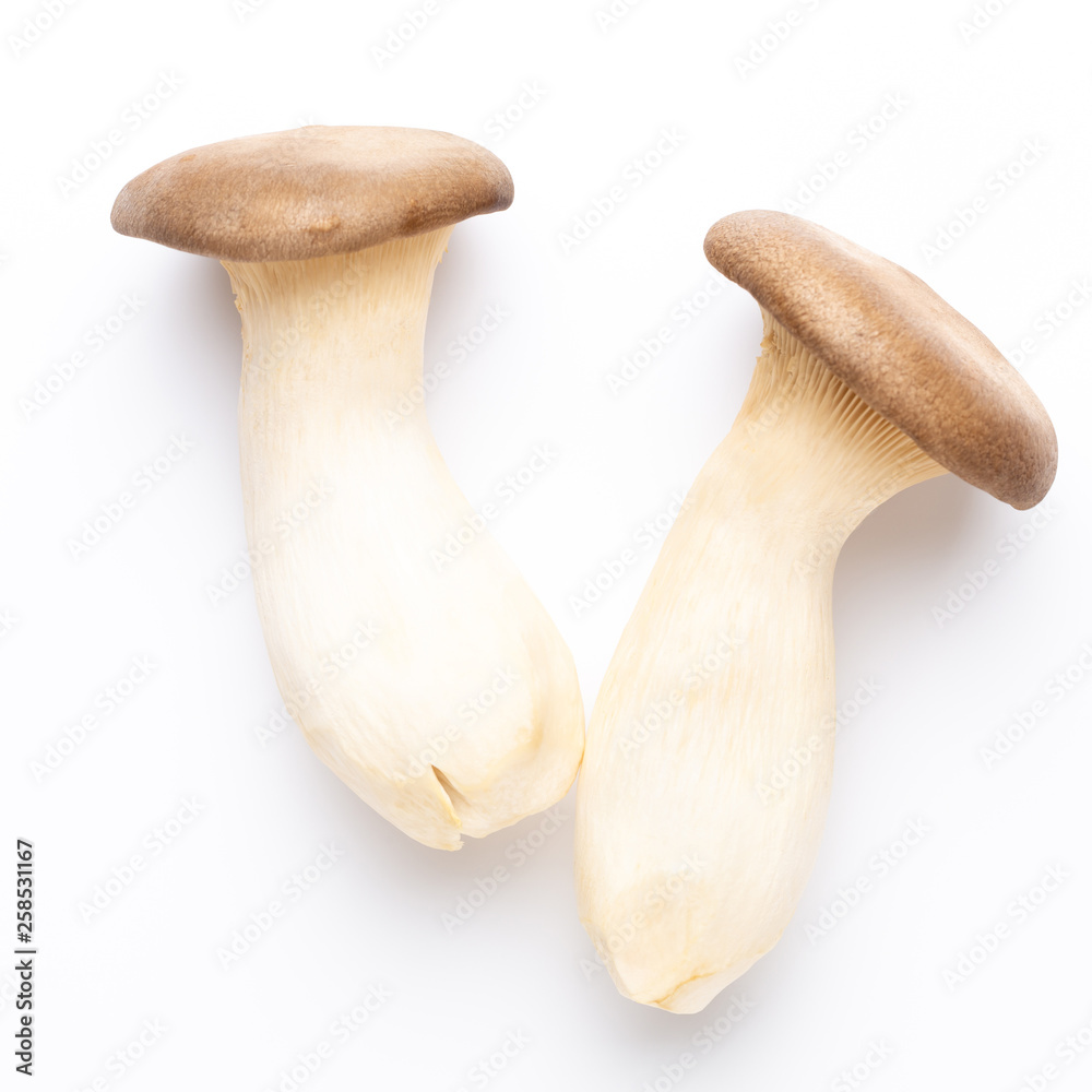 King oyster mushroom on white background. King oyster mushroom on white background.