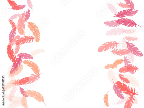 Flying feather elements airy vector design.