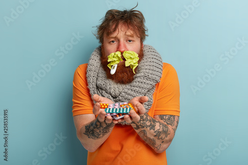 Frustrated red haired bearded man has rhinitis, holds pills in both hands, measures themperature, infected b winter grippe, wears knitted warm scarf around neck, isolated over blue studio wall photo