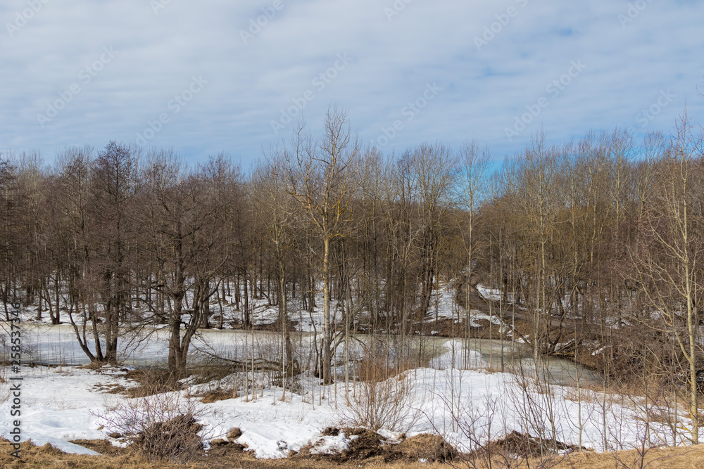 Awakening of nature after winter and snow thaw in parks in early spring. Awakening of nature after winter and snow thaw in parks in early spring.