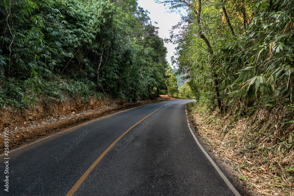 Road in the mountain forest, Curve along Skyline Drive in National Park