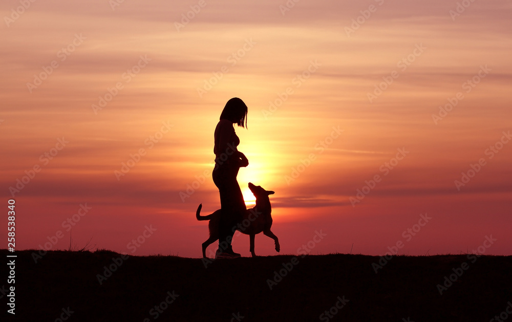 Fototapeta premium The girl and the dog at sunset, the Belgian Shepherd Malinois breed, an incredible sunset, friendship and relationships, a sporty girl