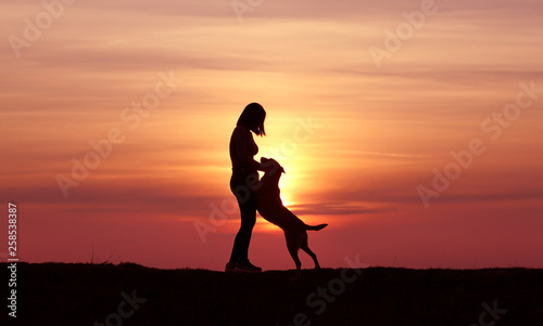 The girl and the dog at sunset  the Belgian Shepherd Malinois breed  an incredible sunset  friendship and relationships  a sporty girl