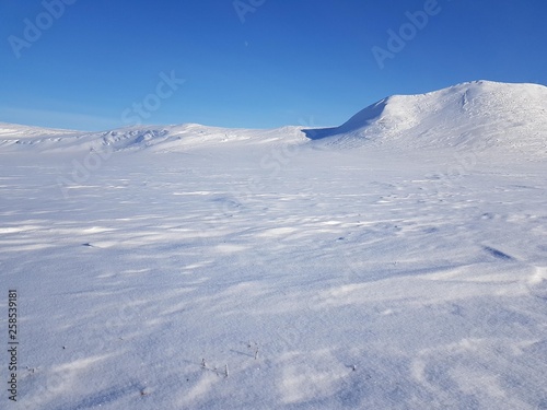 Photo of snow-covered tundra, Russia, Gydansky peninsula.