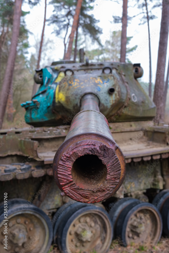 Panzer im Truppenübungsgelände