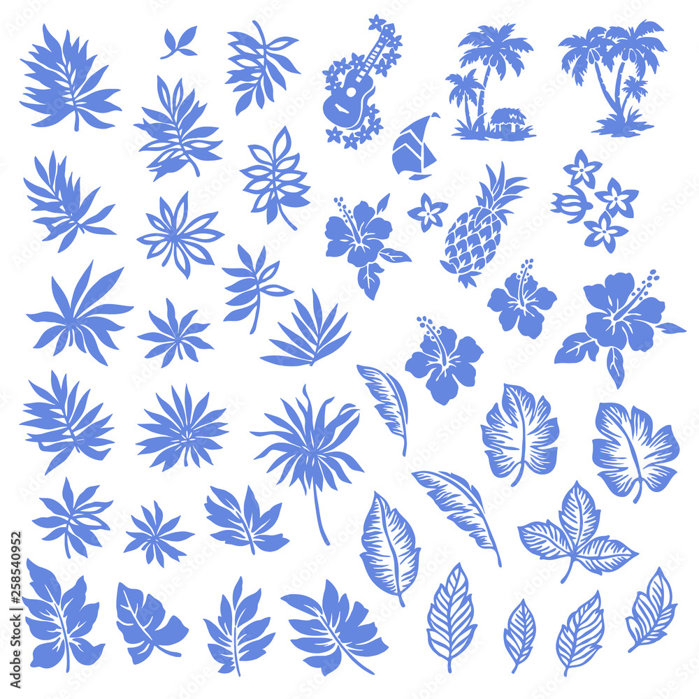 Fototapeta Tropical plant illustration material,
