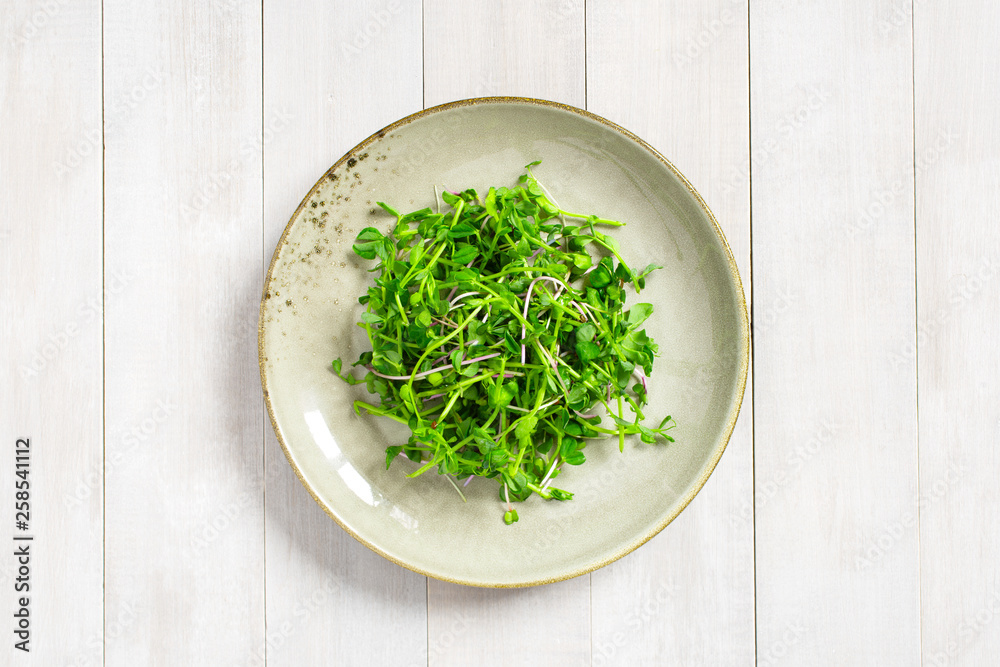 Green seedling salad in the plate on the white table Green seedling salad in the plate on the white table