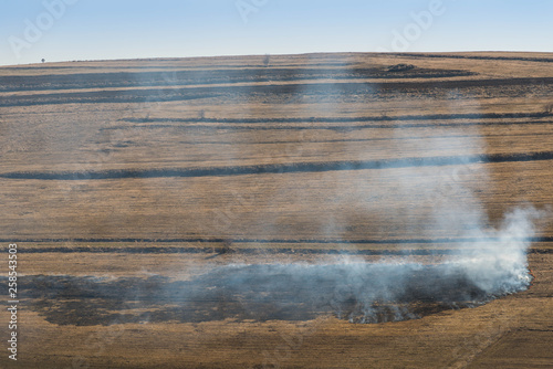 Dry vegetation on fire, negligent people burning the vegetation at springtime.