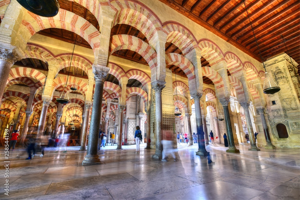 Columns of the prayer hall, Mezquita, Mosque–Cathedral of Cordoba, now a cathedral, formerly a mosque, Cordoba, Andalusia, Spain