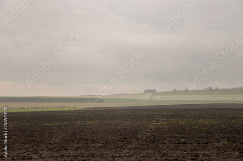Black field with trees far away. Cultivated area. Agriculture. Dark grey sky and green grass