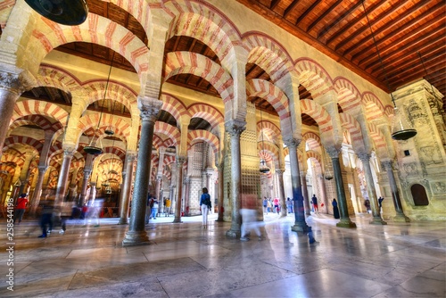 Columns of the prayer hall, Mezquita, Mosque–Cathedral of Cordoba, now a cathedral, formerly a mosque, Cordoba, Andalusia, Spain © akturer