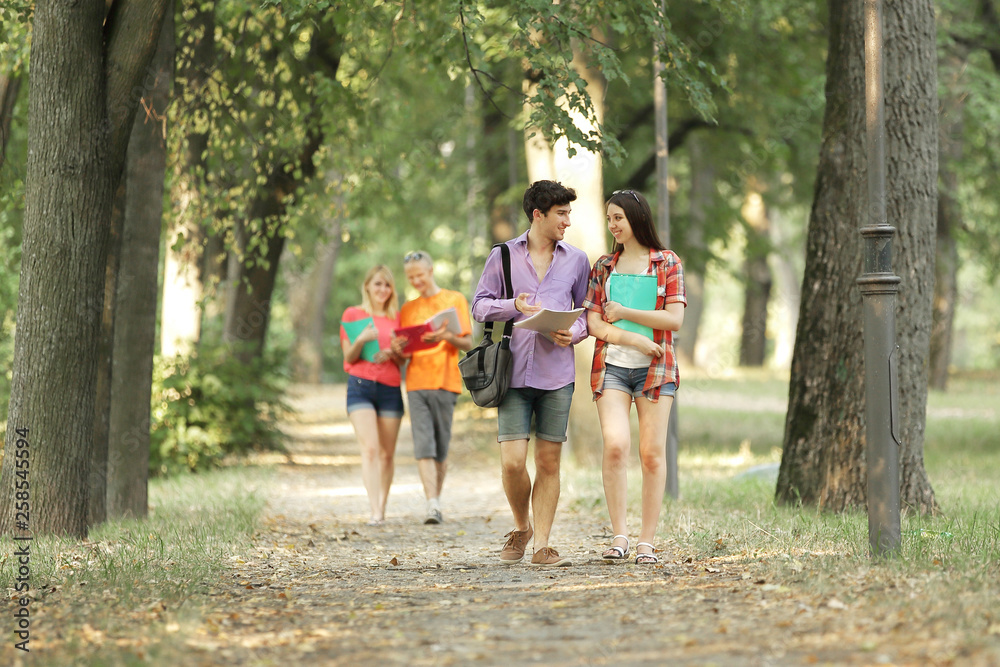 group of students walking along the alley city Park.photo with copy space group of students walking along the alley city Park.photo with copy space