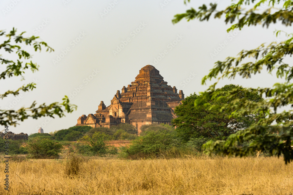 Close-up view of one of the many temples in Bagan (formerly Pagan) during sunset. A beautiful tree frames the picture. The Bagan Archaeological Zone is a main attraction in Myanmar.