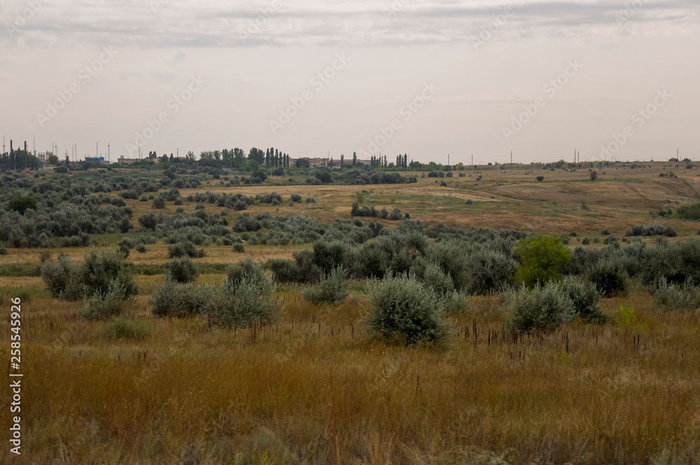 Gold meadow with lonely green trees far away and blue calm tender sky above. Yellow dry grass. Electric poles in the field. Small town far away.Travelling. Ural landscapes Gold meadow with lonely green trees far away and blue calm tender sky above. Yellow dry grass. Electric poles in the field. Small town far away.Travelling. Ural landscapes