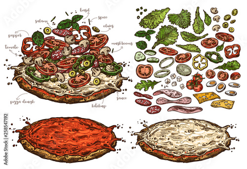 Big vector set of sketch elements, components and ingredients for italian pizza. Hand drawn collection of different products for design, menu and recipes