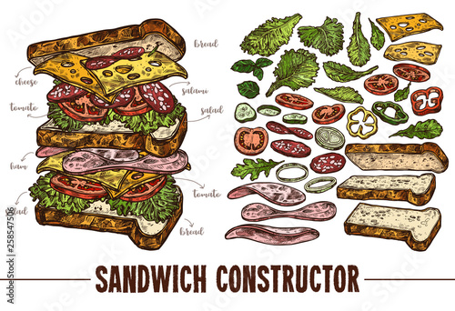 Hand drawn vector sandwich with ingredients. Sketch illustration burger products components and elements. Constructor for fast food restaurant menu
