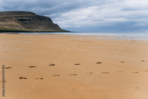 Ocean beach with yellow sand. Embankment of the ocean and Iceland.