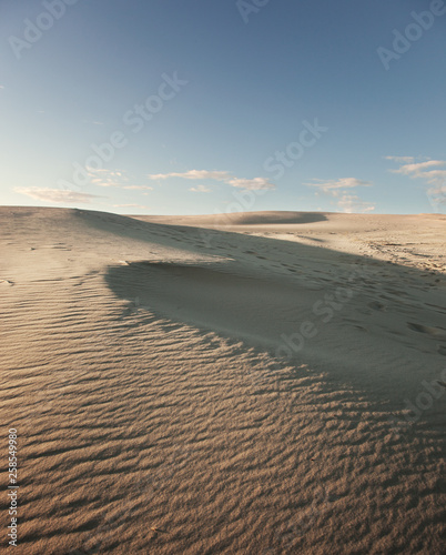 Fototapeta Naklejka Na Ścianę i Meble -  desert in denmark