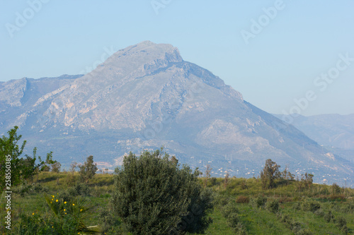 vineyard among mountains