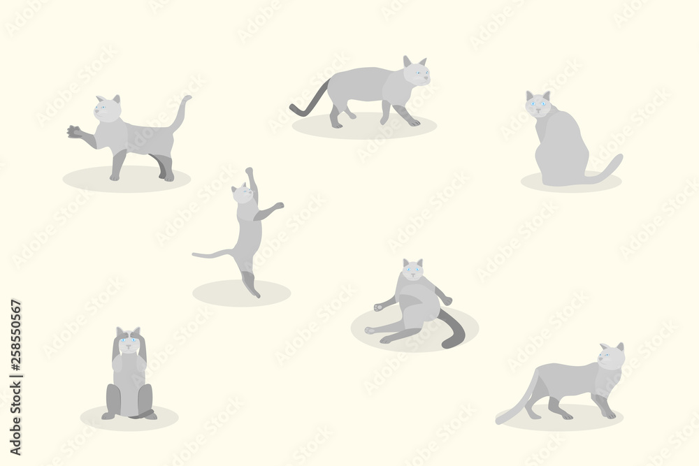 set of soft pastel cute gray cat element modern geometric flat style. vector illustration eps10