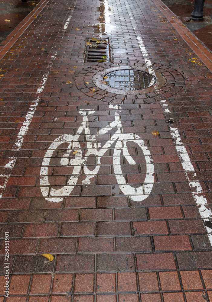 view of a bicycle lane on a rainy day with wet soil and fallen leaves of the trees