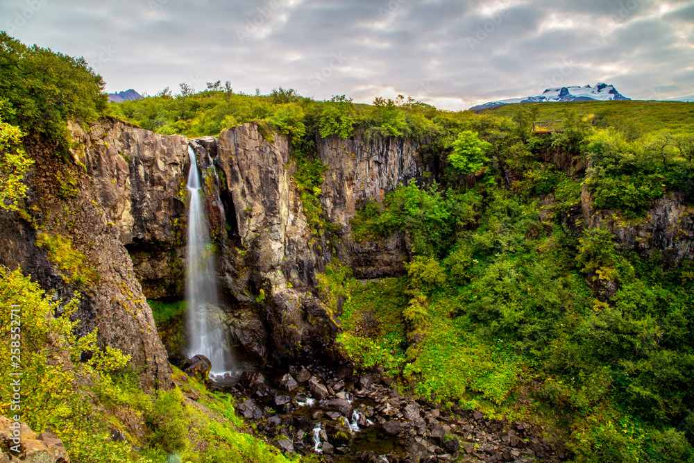 A view of Svartifoss, one of most amazing waterfalls of Iceland, Europe A view of Svartifoss, one of most amazing waterfalls of Iceland, Europe