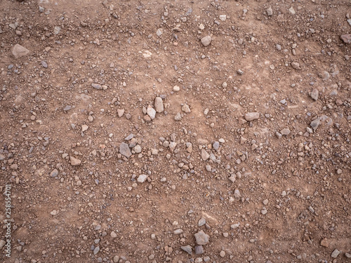 Dirt patch close up. Dry dirt texture