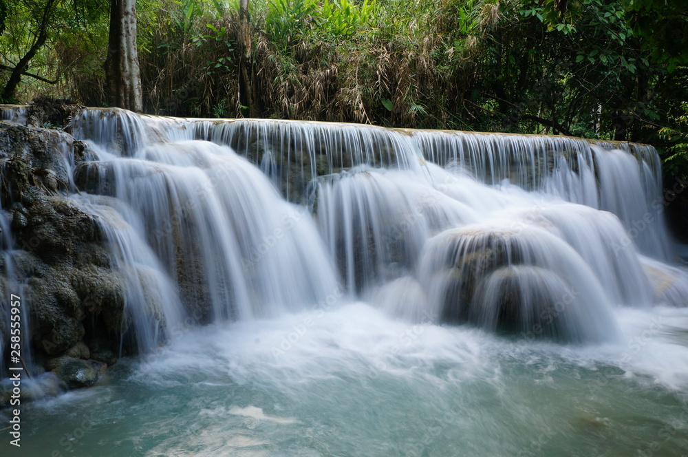 waterfall in the forest waterfall in the forest