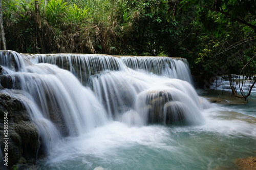 waterfall in forest