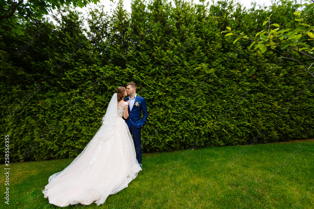 Bride and groom walking and holding hands in the forest on nature Bride and groom walking and holding hands in the forest on nature