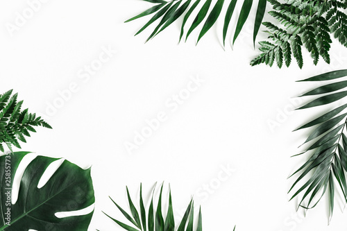 Summer composition. Tropical palm leaves on white background. Summer concept. Flat lay  top view  copy space