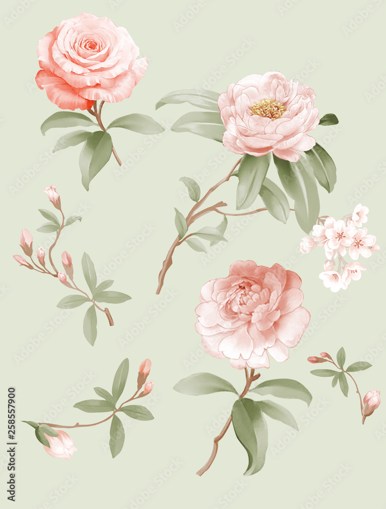 Painted watercolor composition of flowers in pastel colors set