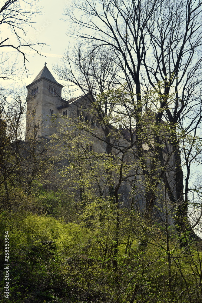 Naklejka premium ruins of old castle on rocks 