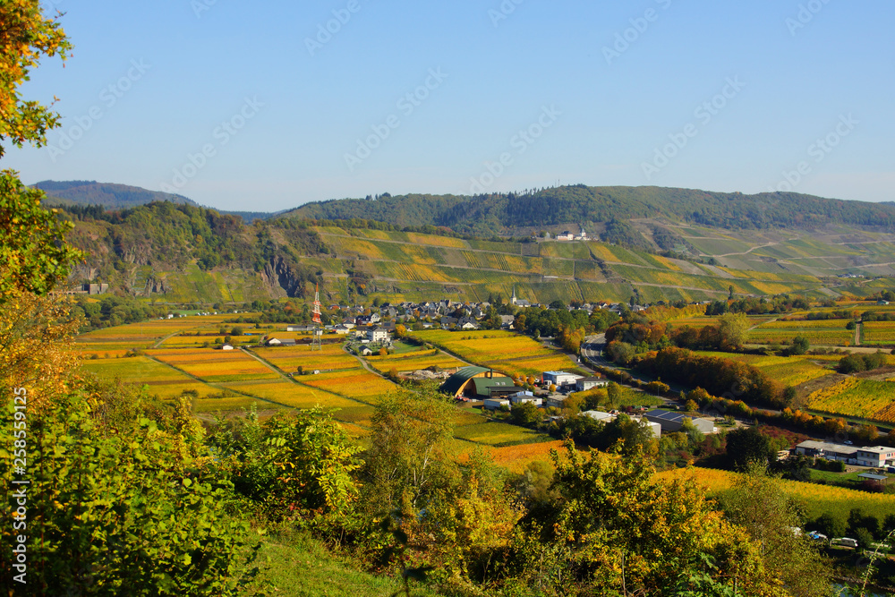 Weinort Pünderich an der Mosel im Herbst Weinort Pünderich an der Mosel im Herbst
