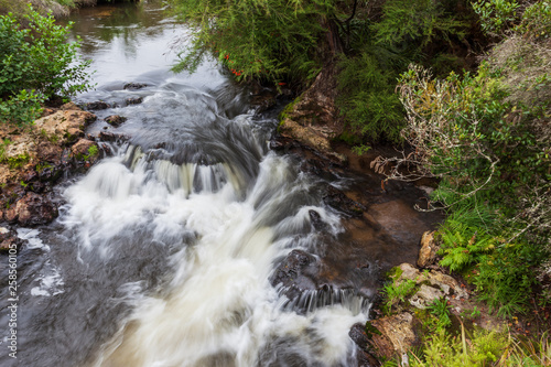 River in Te Puia Geothermal Valley, Rotorua, North Island, New Zeland photo