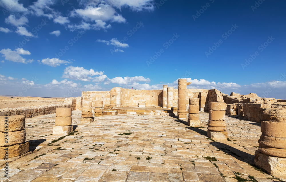 Obraz premium Ruins of the ancient city of Avdat on the Negev mountain, Israel, middle East