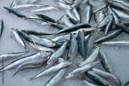  Fresh sardines in the market