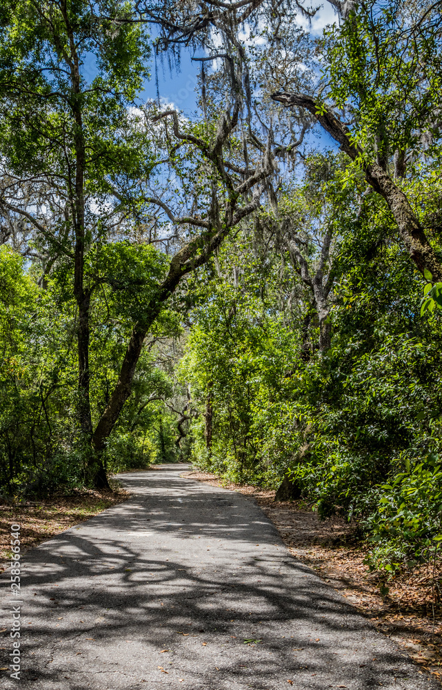 pathway in the park at Crews Lake Wilderness Park, Florida