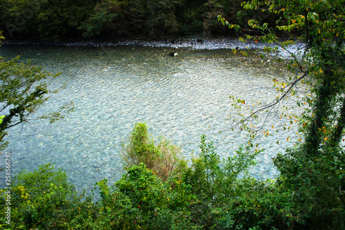 Tree against the background of the blue small river