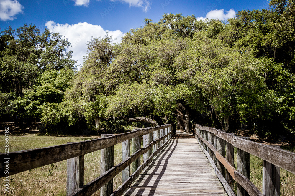 boardwalk through the marsh at Crews Lake Wilderness Park