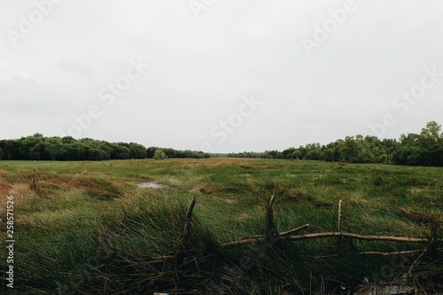 Fototapeta Naklejka Na Ścianę i Meble -  landscape with river