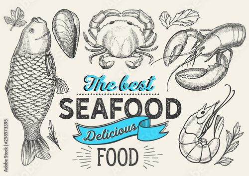 Seafood illustration - fish, crab, lobster, shrimp, mussel for restaurant