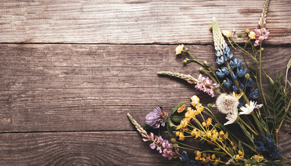 Wild flowers on old grunge wooden background (chamomile lupine dandelions thyme mint bells rape)