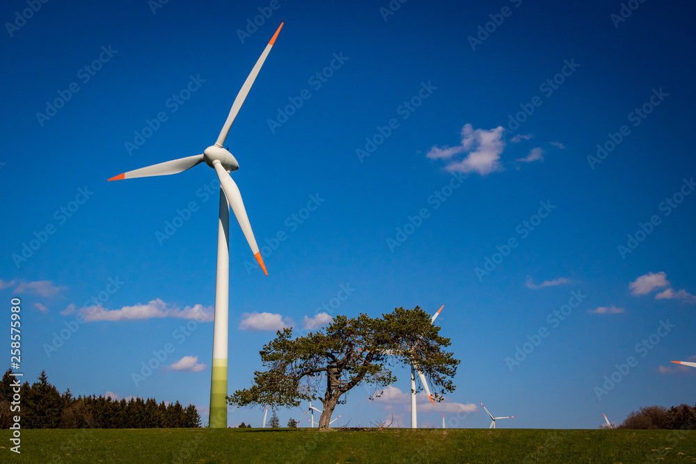 Fototapeta premium Natürliche Energie