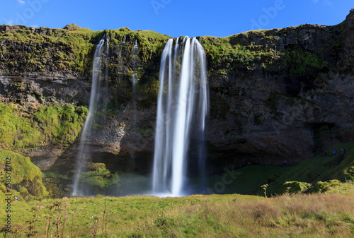 Wonderful view of Seljalandsfoss Waterfall in Iceland. Sunlight day in summer with rainbow and green landscape. Famous landmark on the route number one.