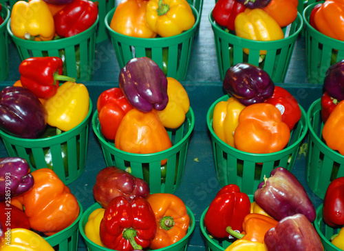 Fresh purple, yellow, orange, green and red organic bell peppers capsicum on display for sale at local farmer's market departmental store. photo