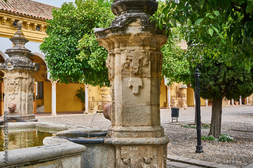 The Courtyard near of Mosque of Cordoba, Spain