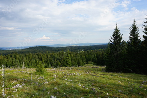 montagne 