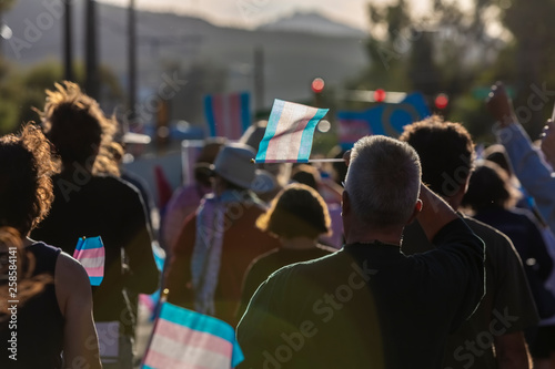 Marchers with Trans Support Flags at Rally photo